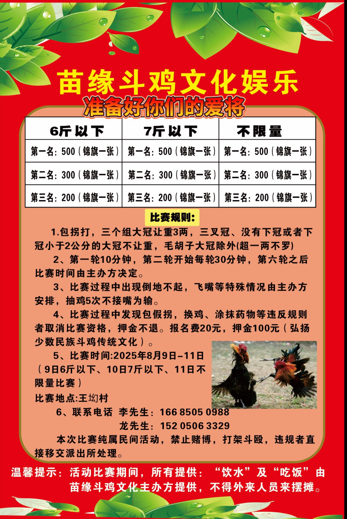 8月9日苗缘斗鸡比赛