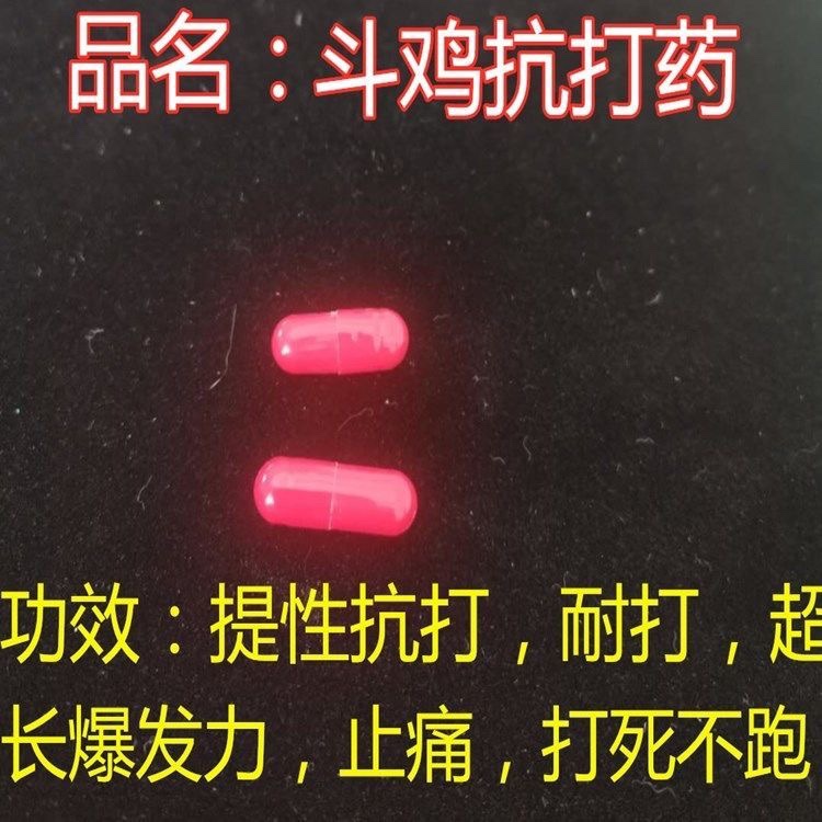 斗鸡药 斗鸡抗打药 比赛用药 斗鸡调补药 打料 斗鸡用品